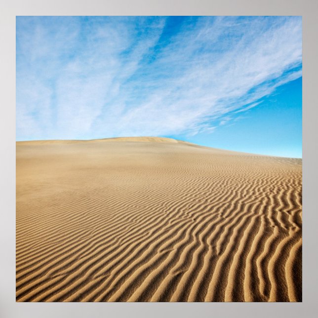 Poster Dunes de Mesquite (Devant)