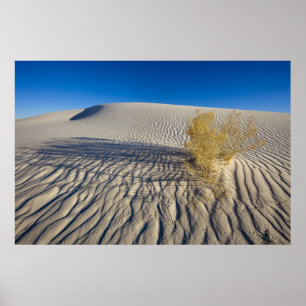 Poster Dunes de sable à White Sands National Monument en