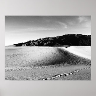 Poster Dunes de sable noir et blanc de la vallée de la mo