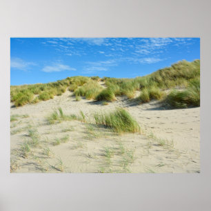 Poster Dunes Magic   -     - Acrylic Print