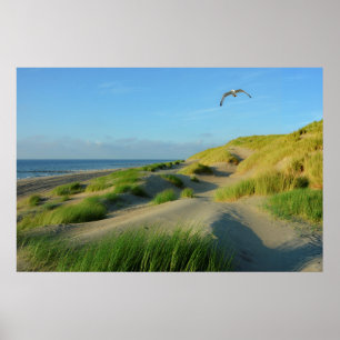 Poster Dunes sur la mer du Nord