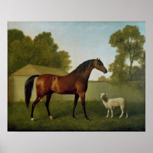 Poster Dungannon, la propriété de colonel O'Kelly