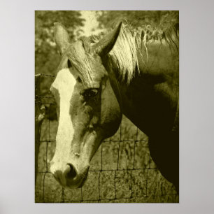 Poster Dunnit à Sepia Tint