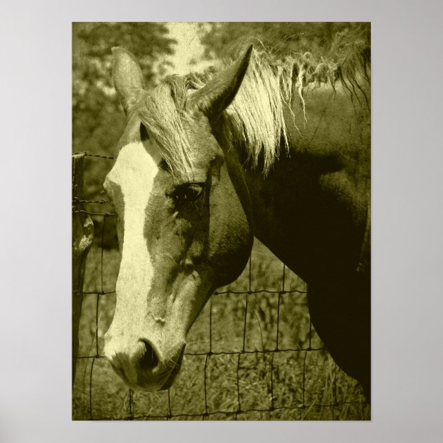 Poster Dunnit à Sepia Tint (Devant)