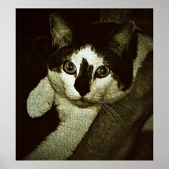 Poster Dur à cuire. (Devant)