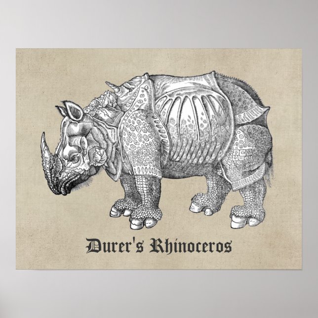 Poster Durer Rhino (Devant)