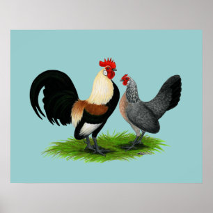 Poster Dutch Bantams:  Cream Light Brown