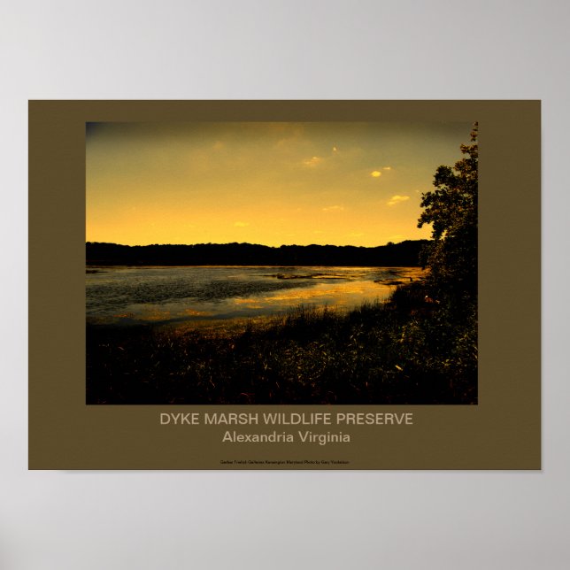 POSTER DYKE MARSH WILDLIFE PRESERVE (Devant)