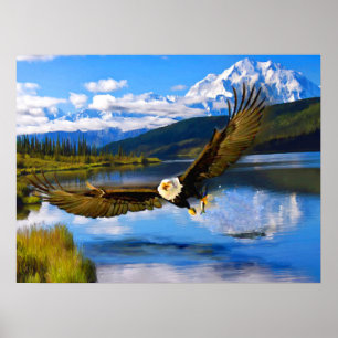 Poster Eagle chauve pêchant Denali 24" x 18" papier