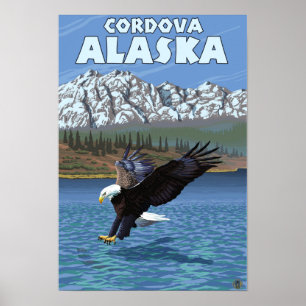 Poster Eagle chauve plongeant - Cordova, Alaska