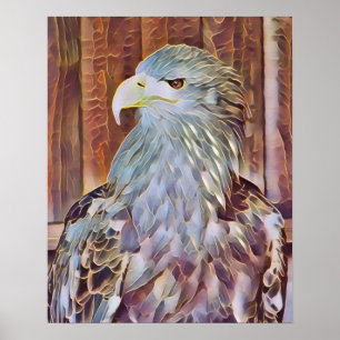 POSTER EAGLE DE MER