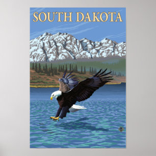 Poster Eagle DivingSouth Dakota