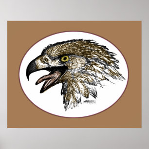 Poster Eagle hurle