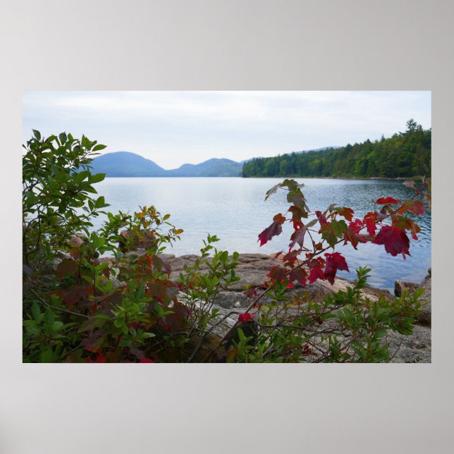 Poster Eagle Lake et Red Maple Feuilles (Devant)