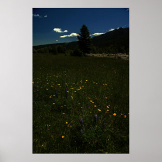 Poster Eagle Park Fleurs sauvages