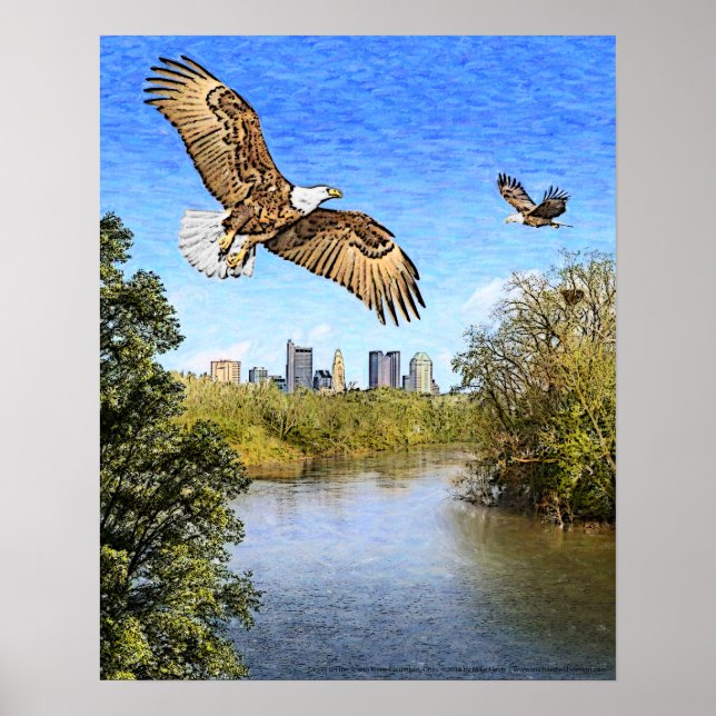 Poster Eagles Scioto River Columbus Ohio Imprimer (Devant)
