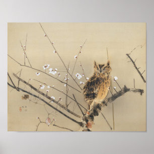 Poster Early Plum Blossoms by Nishimura Goun, Owl Art