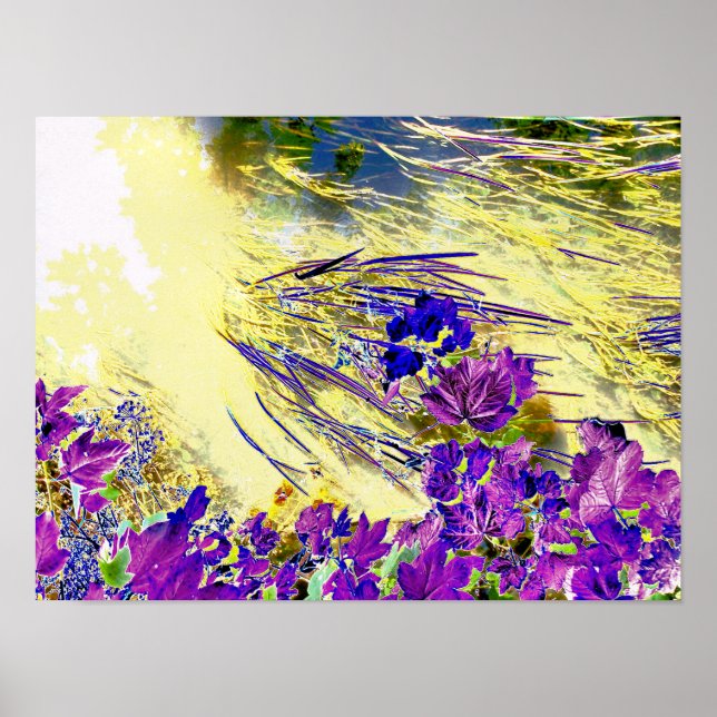 POSTER EAU (Devant)