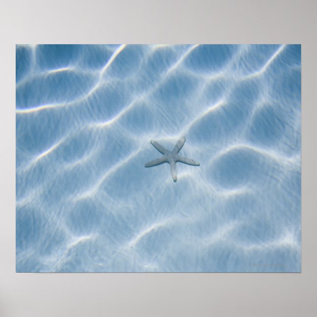 Poster Eau bleue ondulée avec étoiles de mer (Devant)