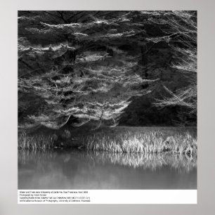 Poster Eau et arbres près de UC San Francisco, 1966