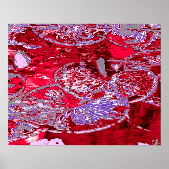 POSTER EAU LILY POND (Devant)