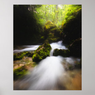 Poster Eau qui traverse une forêt enchanteresse de mousse