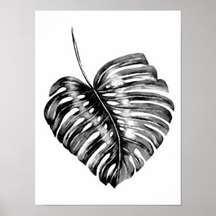 Poster Eau tropicale noire et blanche de la feuille de mo