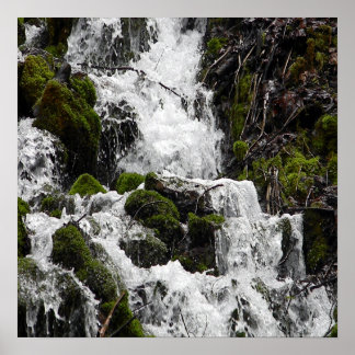 Poster Eaux de précipitation......