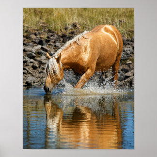 Poster Eaux Palomino