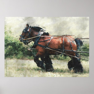 Poster Ébauche de l'équipe de cheval en harnais