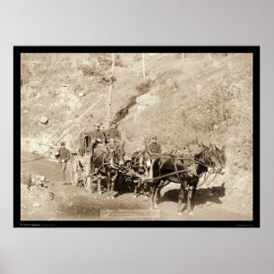 Poster Écart-type 1888 de Fort Meade de trésorier et de