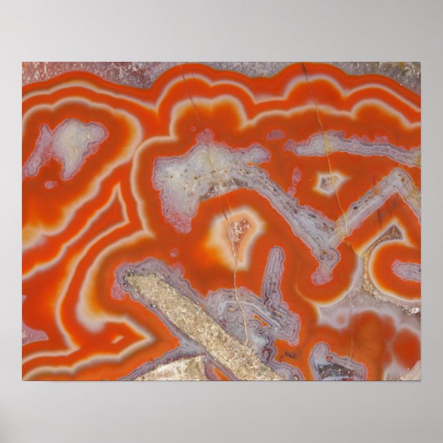 Poster Échantillon d'agrégation (Devant)