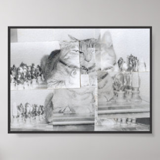 Poster Échecs de chats