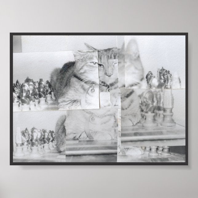 Poster Échecs de chats (Devant)