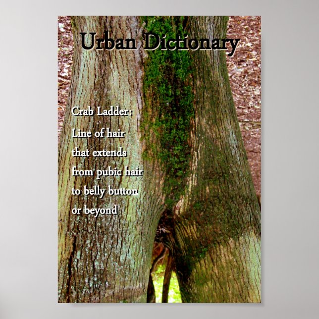 Poster Échelle de crabe (Devant)