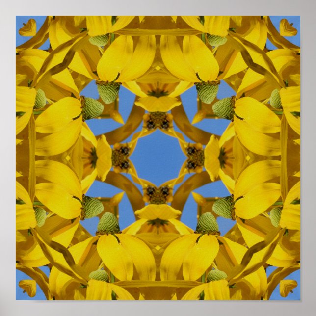 Poster Echinacée Jaune Fleurs Abstraite Nature Art (Devant)