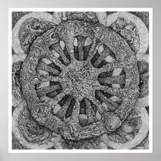 Poster Échinidermatière