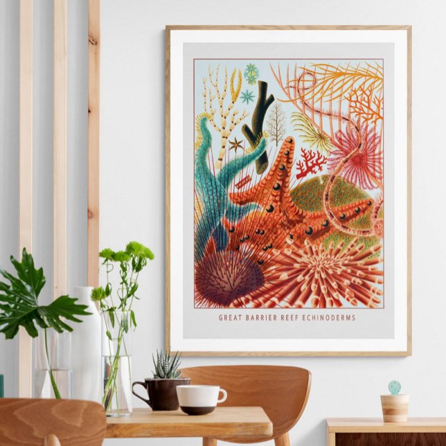 Poster Échinodermes de la Grande barrière de corail | VIN (Créateur téléchargé)