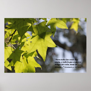 Poster Eclesiastes 3:1 con Hojas