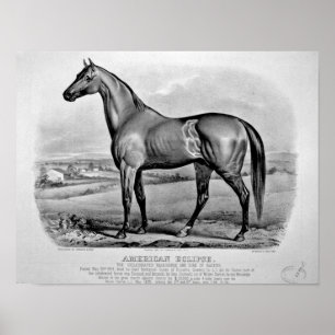 Poster Éclipse américaine