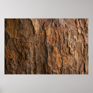 Poster écorce d'arbre Brown en photo closeup