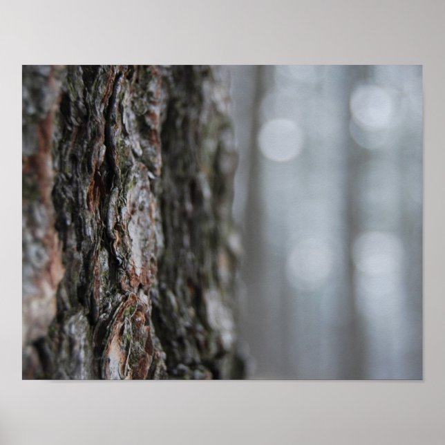 Poster Écorce de l'arbre (Devant)