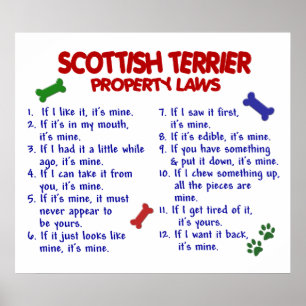 POSTER ÉCOSSAIS TERRIER PL2