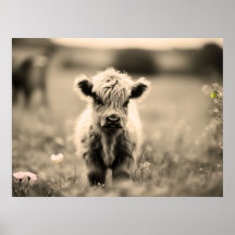 Écossaise Highland Calf Baby Cow Miniature Sepia