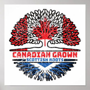 Poster Écosse Écosse Canadian Canada Tree Roots Flag
