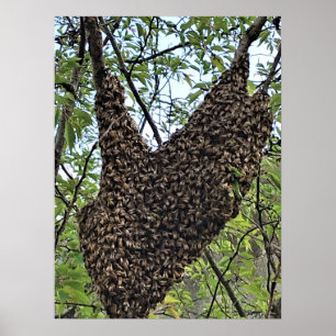 Poster Écran d'abeilles