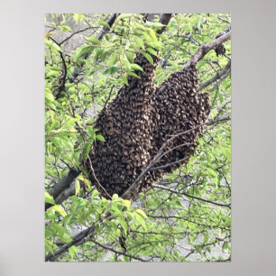 Poster Écran d'abeilles