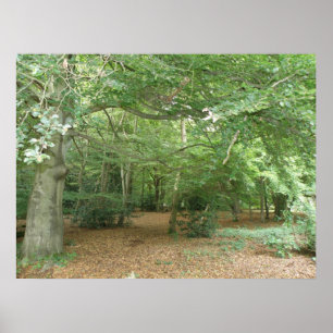 Poster Écran de défrichement des bois