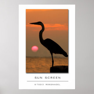 Poster Écran Sun