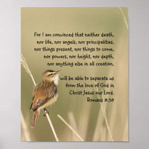 Poster Écriture biblique inspirante Citation Romains 8:38